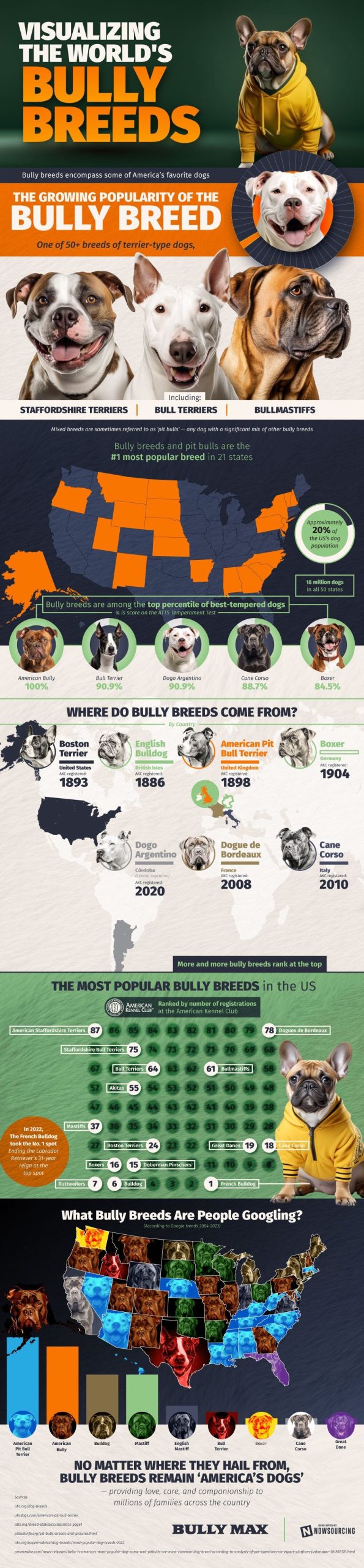 Bully Breeds: America’s Beloved Dogs